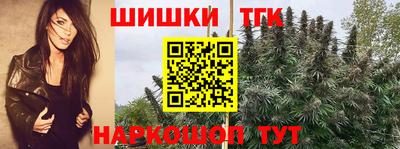 круглые Камышлов