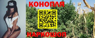 круглые Камышлов