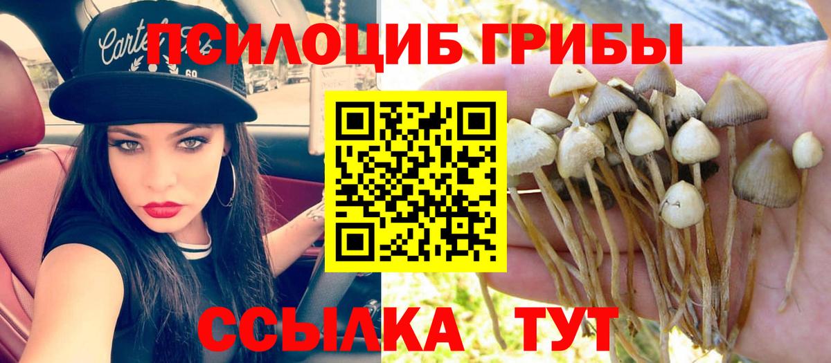 Гашиш  Будённовск  Канабис  Cocaine  А ПВП СОЛЬ кристаллы  Меф кристаллы  Вход с VPN 
