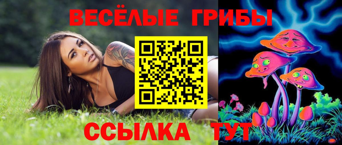 Псилоцибиновые грибы ЛСД  Псилоцибиновые грибы Psilocybe  Будённовск  Вход с VPN 